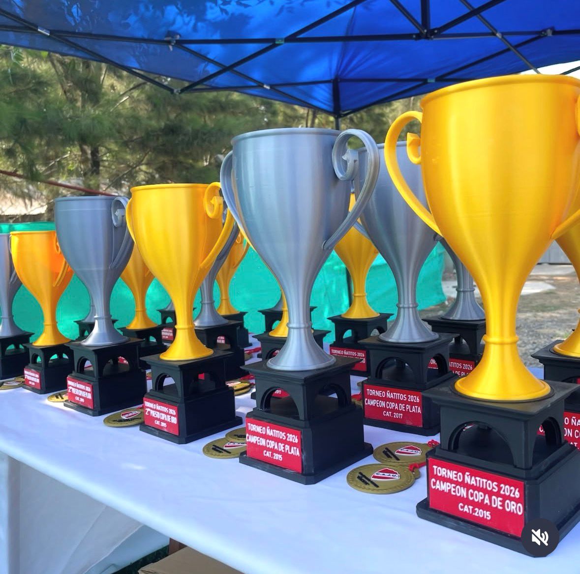 Trofeos para torneos/competencias