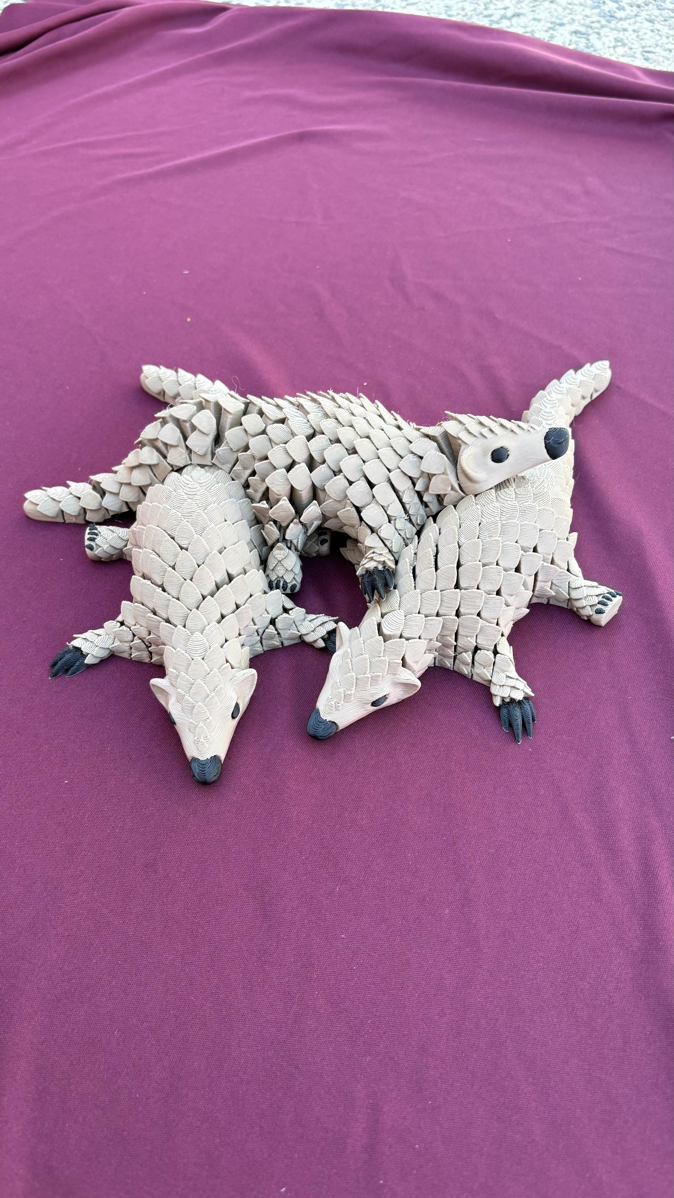 Armadillo Flexi
